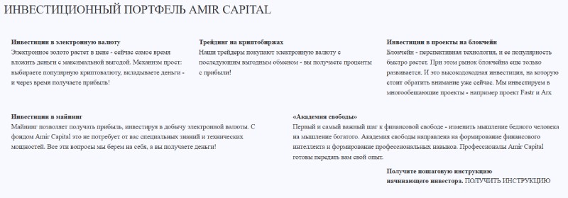 Amir Capital