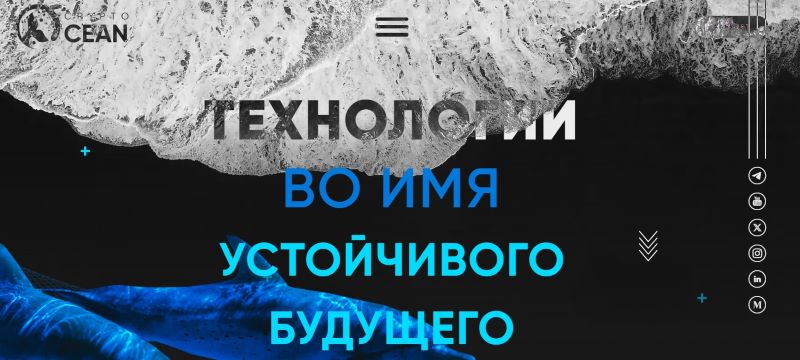 Crypto Ocean