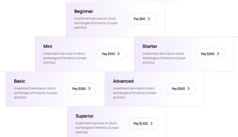 Equity Securities Market Brokers LTD