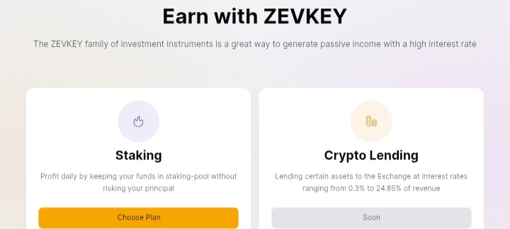 Zevkey