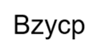 Bzycp logo
