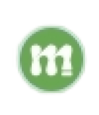 Mentorisy logo