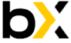 Bincryptex logo