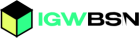 IGW bsn logo