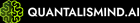 Quantalismind AI logo