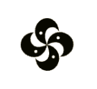 Celestra Group logo