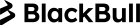 Компания BlackBull BlackBull logo