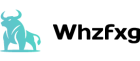 Whzfxg logo