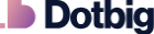 DotBig logo