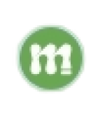 Mentorisy logo