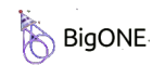 BigONE logo