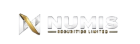 Dex Numis logo
