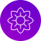 Image-rating