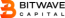 Bitwave Capital Logo