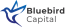 Bluebird Capital Logo