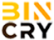 Binary AI Crypto Logo