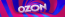 Sj Bozon23 Vip Logo
