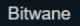 Bitwane logo
