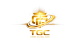 Turbo Global logo
