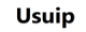 Usuip logo
