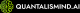 Quantalismind AI logo