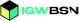 IGW bsn logo