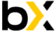 Bincryptex logo