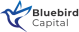 Bluebird Capital logo