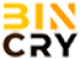 Binary AI Crypto logo