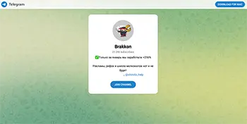 Скриншот проекта-клона