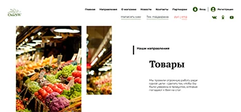 Скриншот проекта-клона